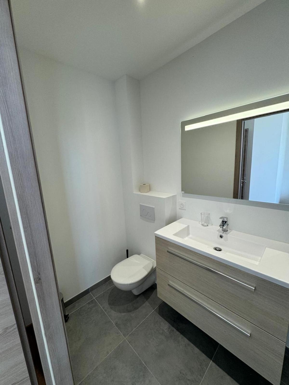 Studio Avec Wc Et Sdb Prives Dans Grande Maison A Cote Du Campus Artem - Thermal Et Parc Des Expos Vandoeuvre-lès-Nancy エクステリア 写真